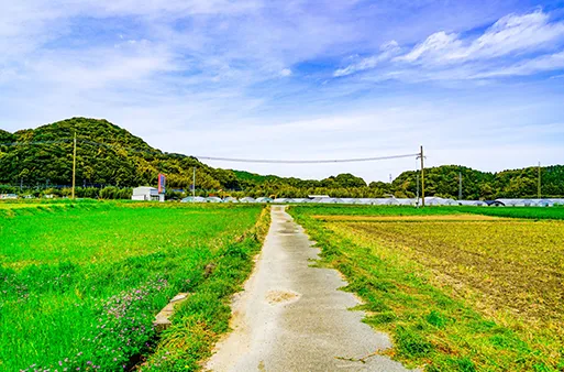 田園風景の画像